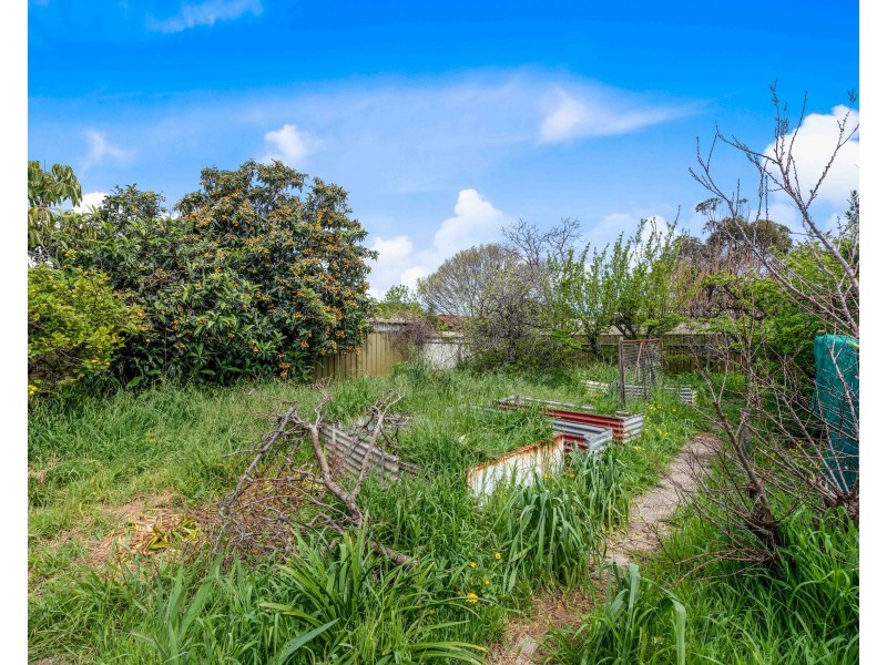 50 Fisk Avenue, Glengowrie SA 5044