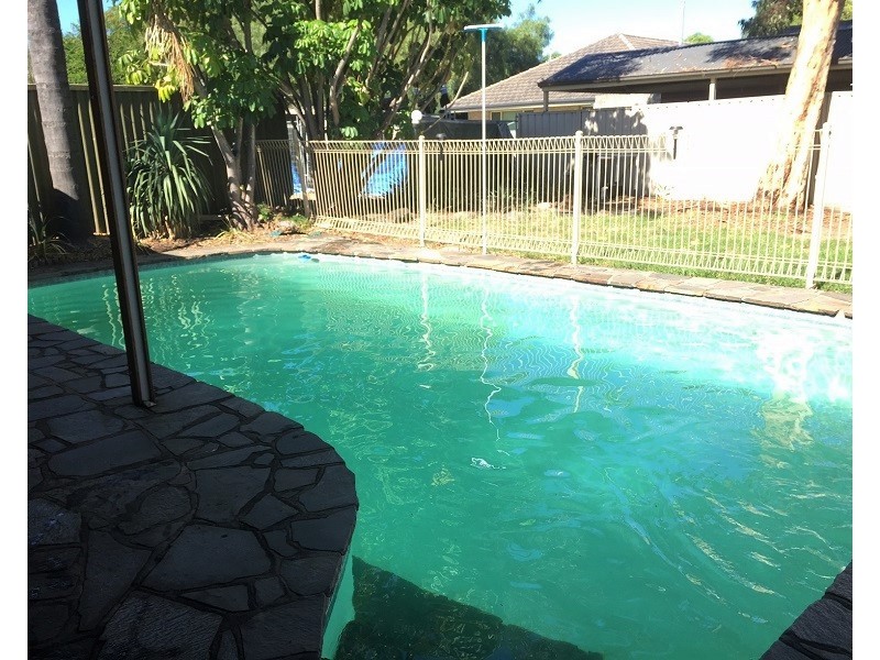 10  Speed Avenue, North Plympton SA 5037
