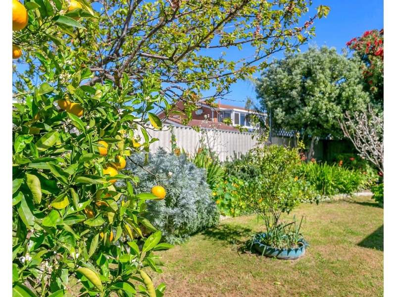 23 Eloise Avenue, Hallett Cove SA 5158