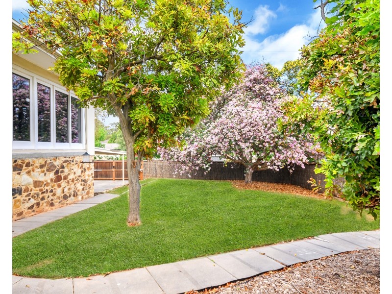 126 Penfold Road, Wattle Park SA 5066