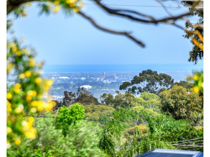 126 Penfold Road, Wattle Park SA 5066