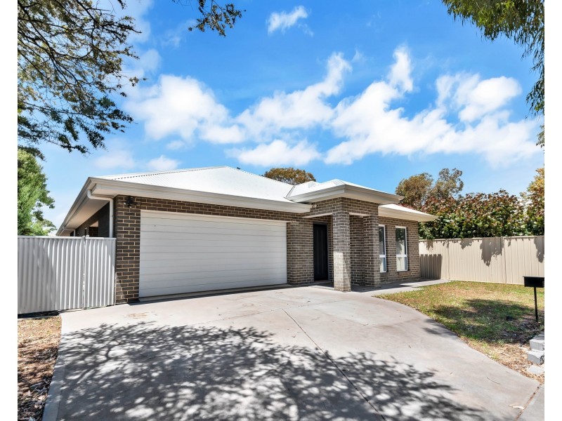 50 Rockville Avenue, Daw Park SA 5041