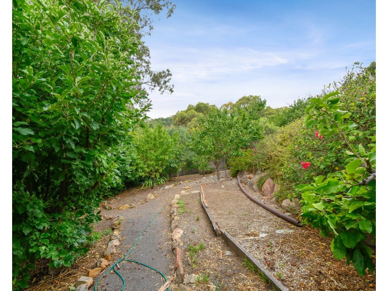 4 Jacaranda Place, Aberfoyle Park SA 5159