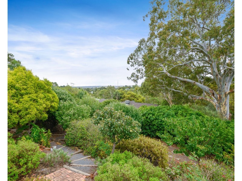 4 Jacaranda Place, Aberfoyle Park SA 5159