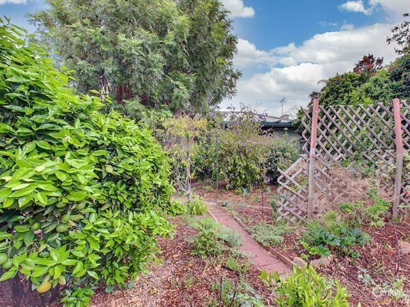 7 Dorsch Street, Hove SA 5048