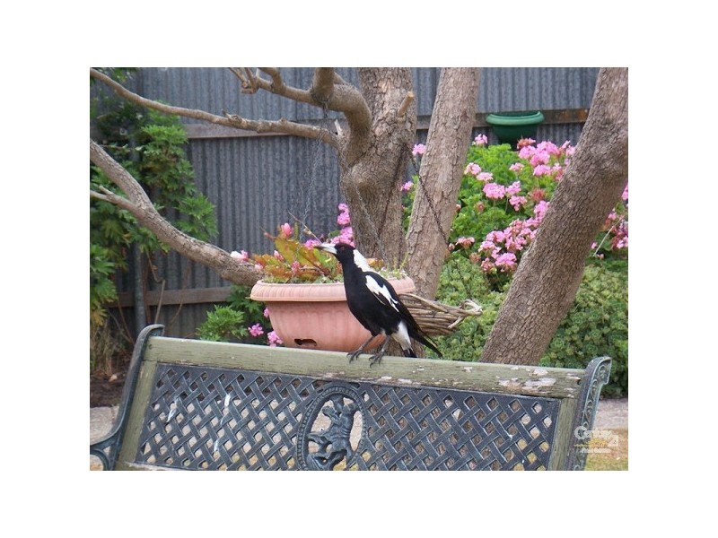 108 Wheatsheaf Road, Morphett Vale SA 5162