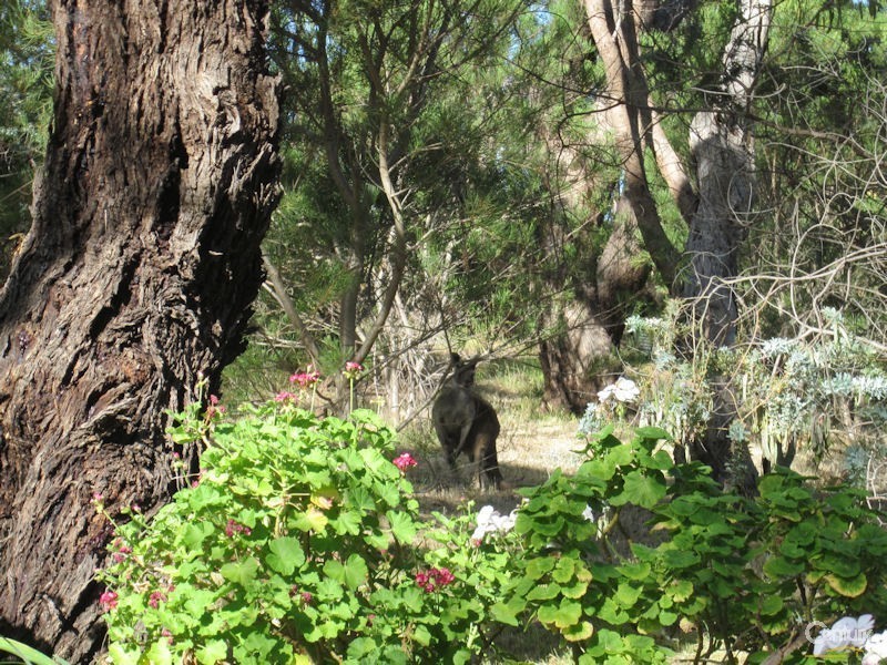 174 Upper Penneys Hill Rd, Onkaparinga Hills SA 5163