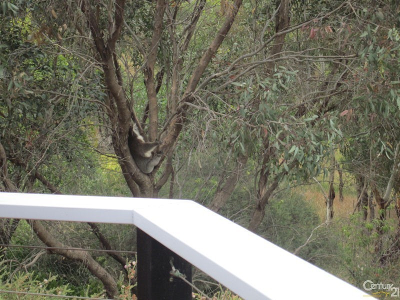 174 Upper Penneys Hill Rd, Onkaparinga Hills SA 5163