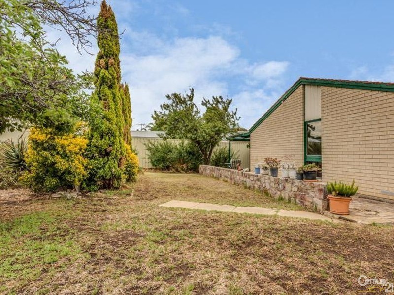 17 Brigalow Road, Morphett Vale SA 5162