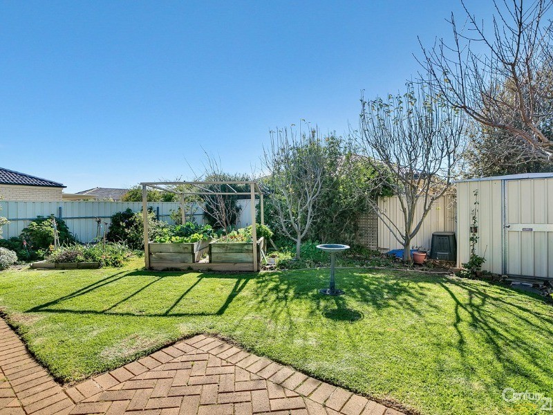 11 Periwinkle Drive, Aldinga Beach SA 5173