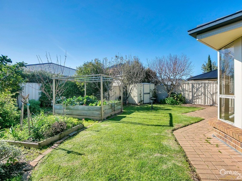 11 Periwinkle Drive, Aldinga Beach SA 5173