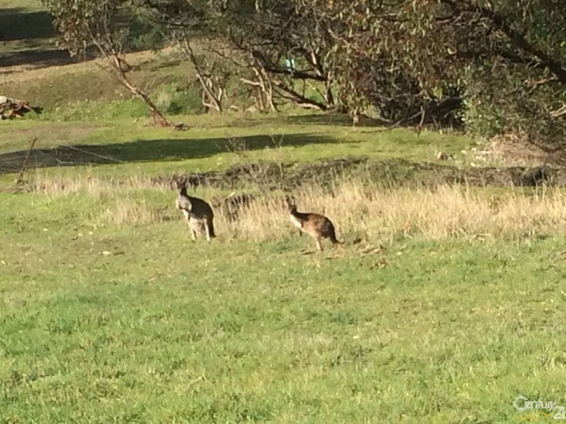 Onkaparinga Hills SA 5163