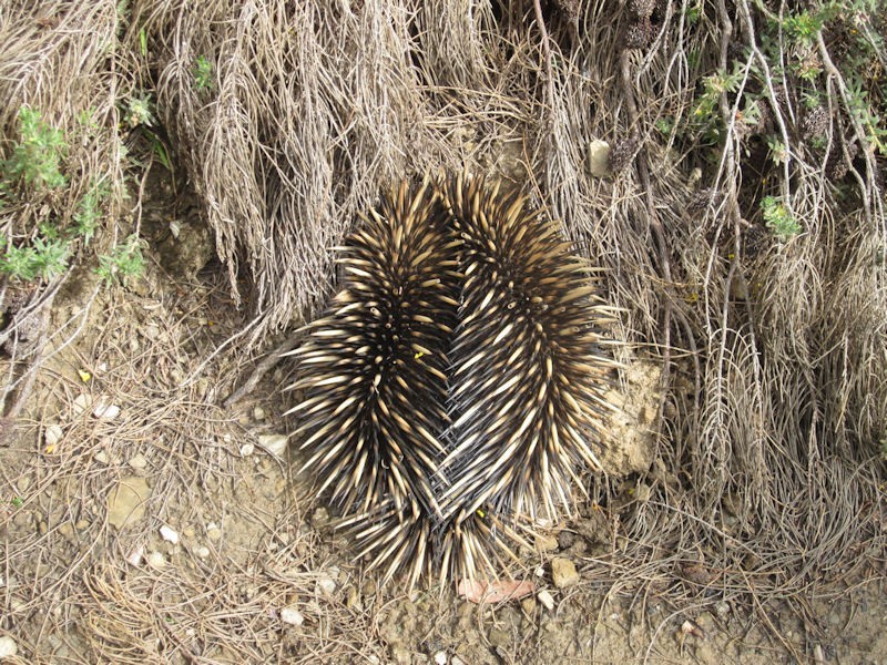 44 Vaucluse Drive, Happy Valley SA 5159