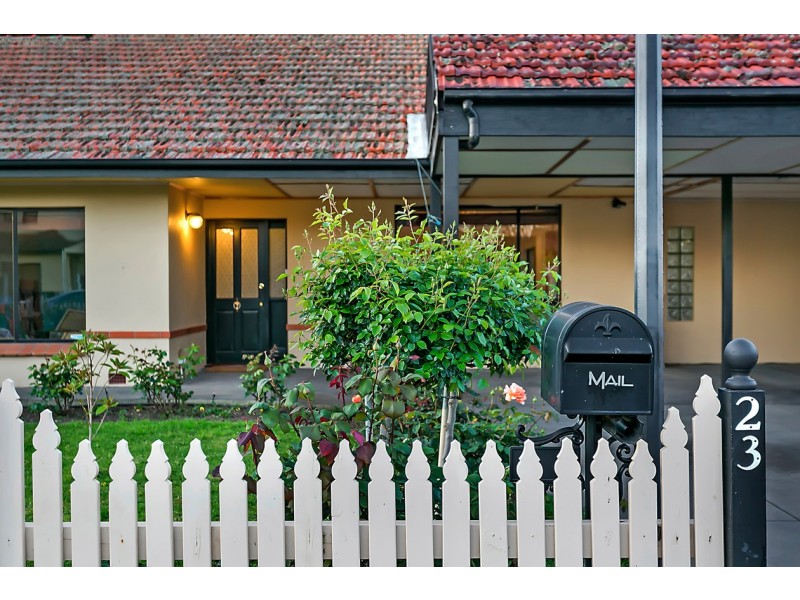 23 Cedar Avenue, Warradale SA 5046