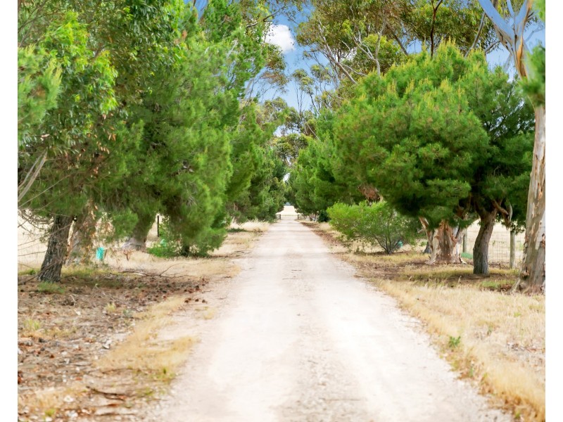 208 Finniss-Clayton Rd, Finniss SA 5255