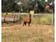 200 Coxs Hill Rd, Onkaparinga Hills SA 5163