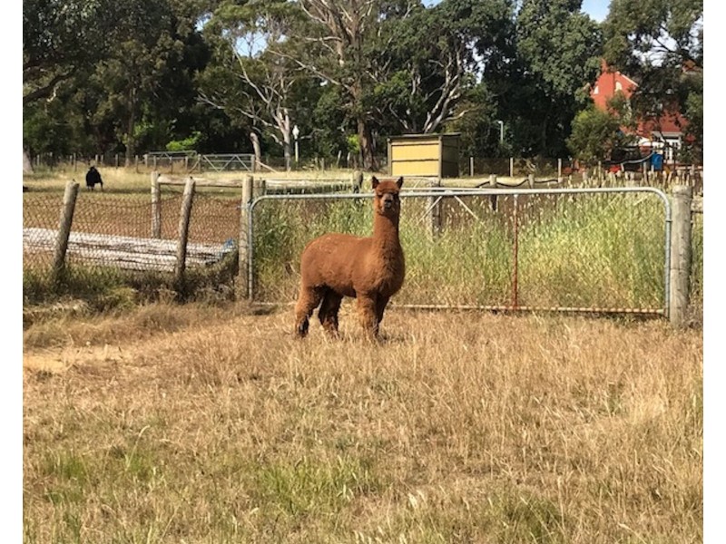 200 Coxs Hill Rd, Onkaparinga Hills SA 5163