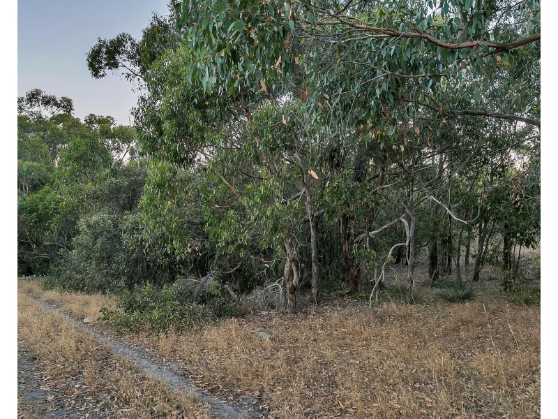 185 Harper Rd, Kangarilla SA 5157