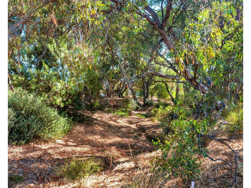 23 Shillabeer Crescent, Woodcroft SA 5162