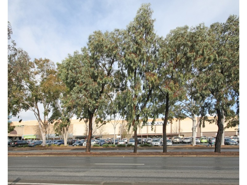 286B Diagonal Road, Oaklands Park SA 5046