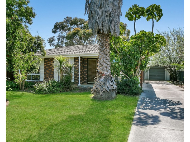 7 Chappel Avenue, Morphett Vale SA 5162