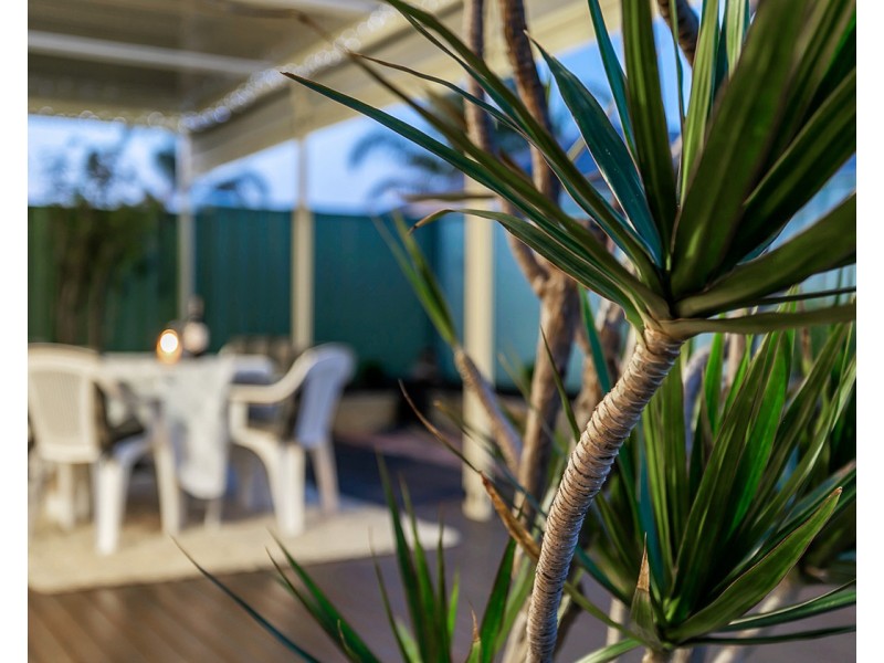 29 Jade Loop, Aldinga Beach SA 5173
