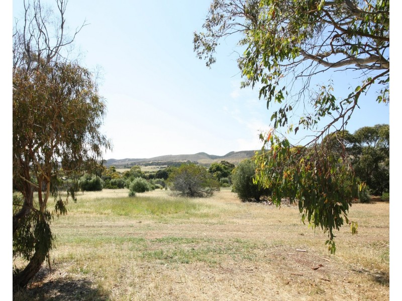 91 Alexander Street, Sellicks Beach SA 5174