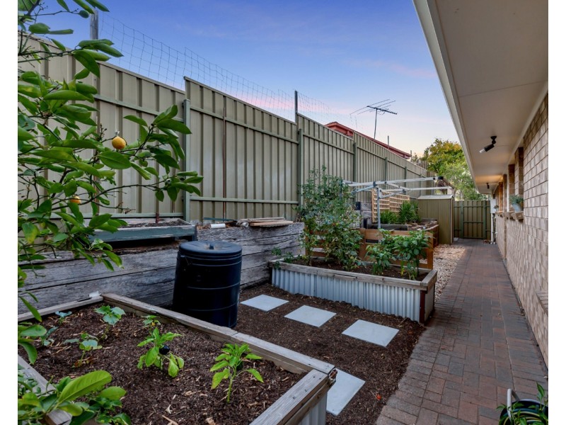 12 Lyons Circuit, Trott Park SA 5158