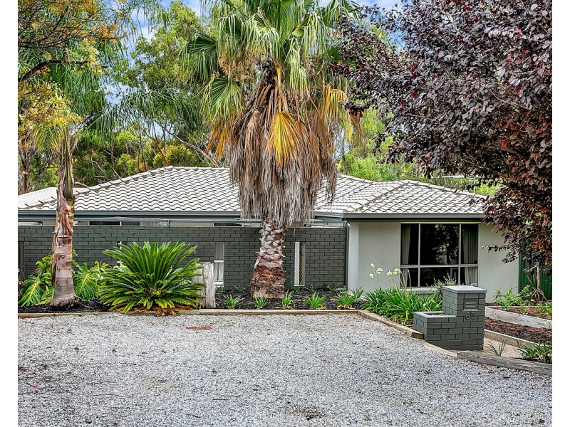 63 Doctors Road, Morphett Vale SA 5162