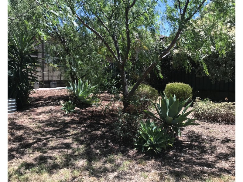 8  Trinity Street, Reynella SA 5161