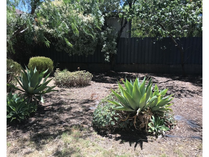 8  Trinity Street, Reynella SA 5161