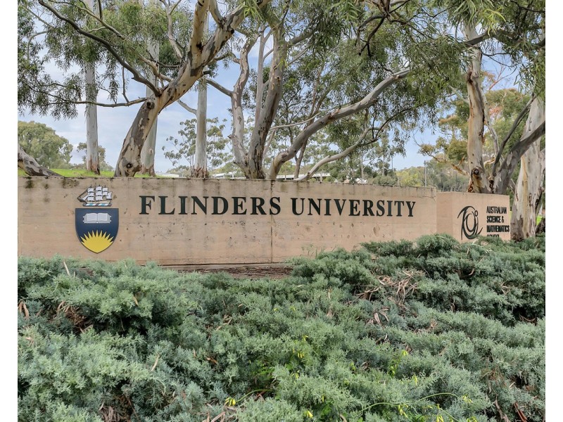 10a Kelmscott Street, Oaklands Park SA 5046