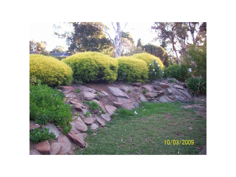 5 Corro Street FOR RENT, Aberfoyle Park SA 5159