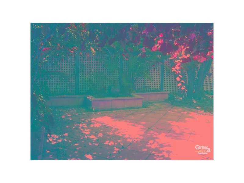 38 Forest Avenue  FOR RENT, Black Forest SA 5035