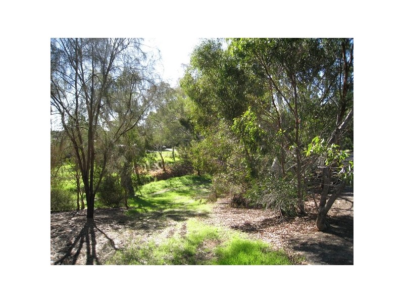 74 Greenway Drive, Surrey Downs SA 5126