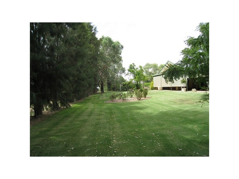 4 Dearman Road, Waikerie SA 5330