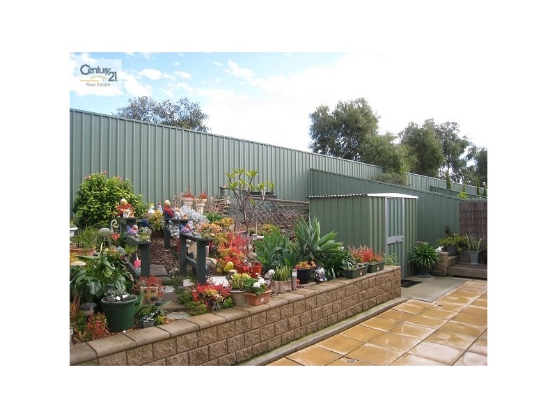 26 Maple Circuit, Mawson Lakes SA 5095