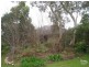 31 Thirkell Avenue, Beaumont SA 5066
