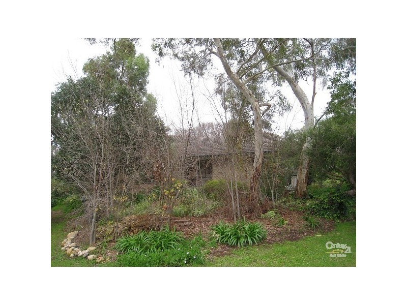 31 Thirkell Avenue, Beaumont SA 5066