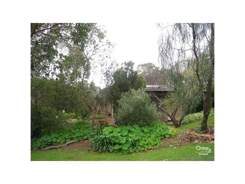 31 Thirkell Avenue, Beaumont SA 5066