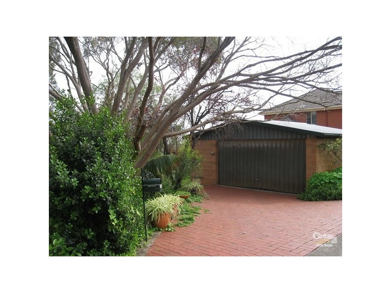 31 Thirkell Avenue, Beaumont SA 5066