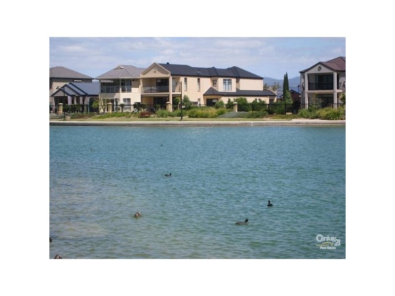 16 Shearwater Drive, Mawson Lakes SA 5095