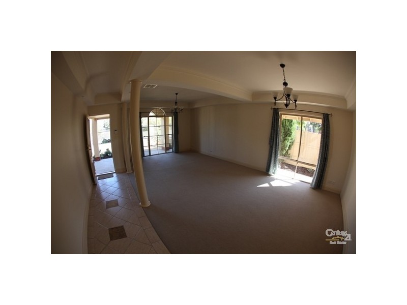 43 lomond Circuit, Mawson Lakes SA 5095