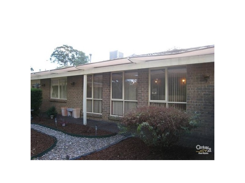 55 Haines Road, Banksia Park SA 5091