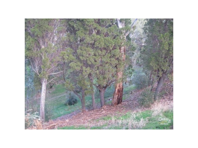 55 Haines Road, Banksia Park SA 5091