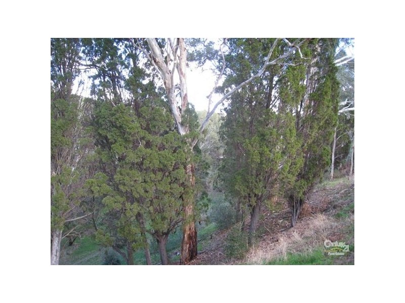 55 Haines Road, Banksia Park SA 5091