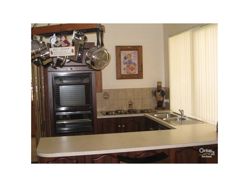 55 Haines Road, Banksia Park SA 5091