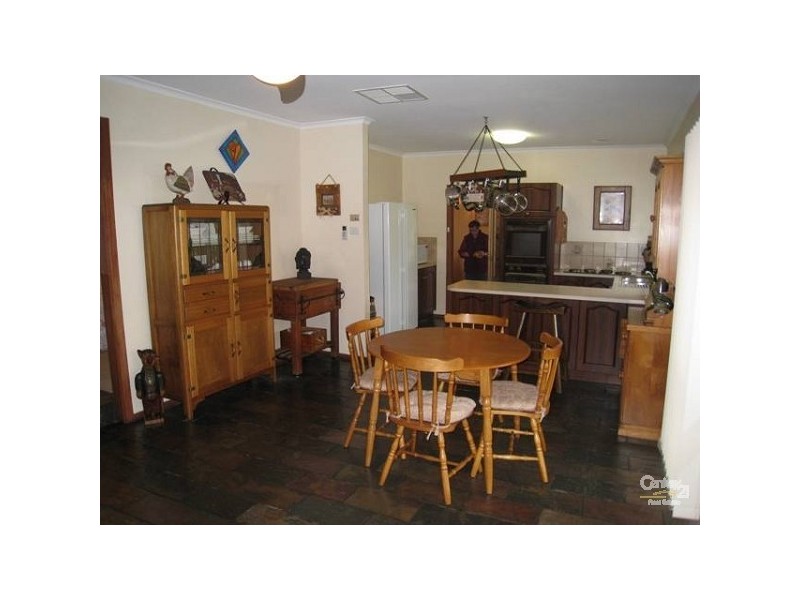 55 Haines Road, Banksia Park SA 5091