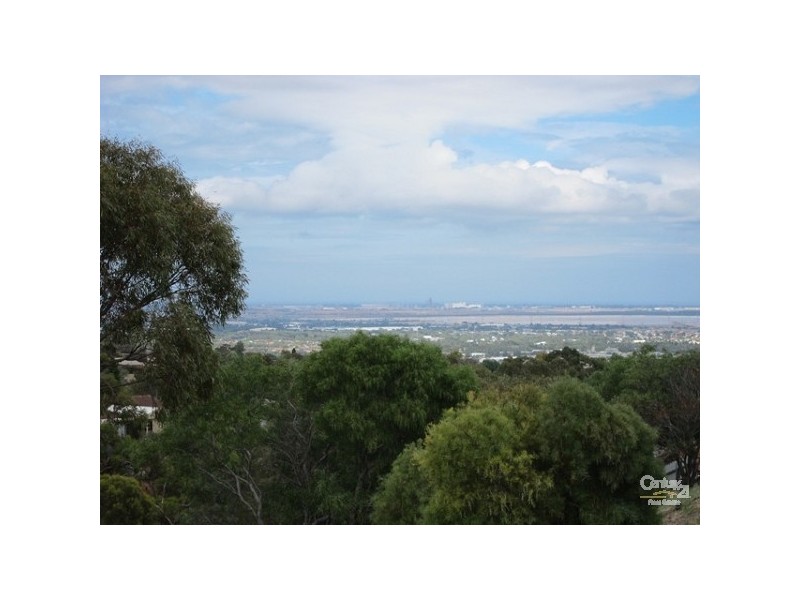 14 Conyngham Avenue, Para Hills SA 5096