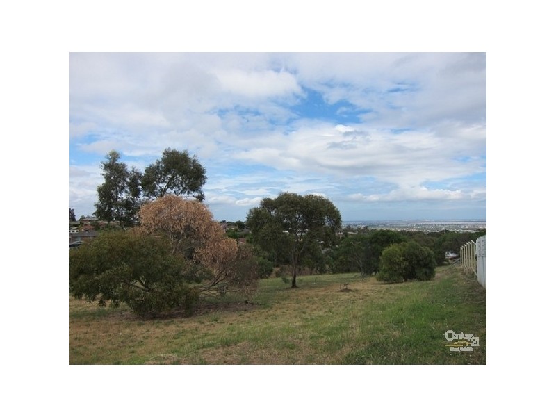 14 Conyngham Avenue, Para Hills SA 5096